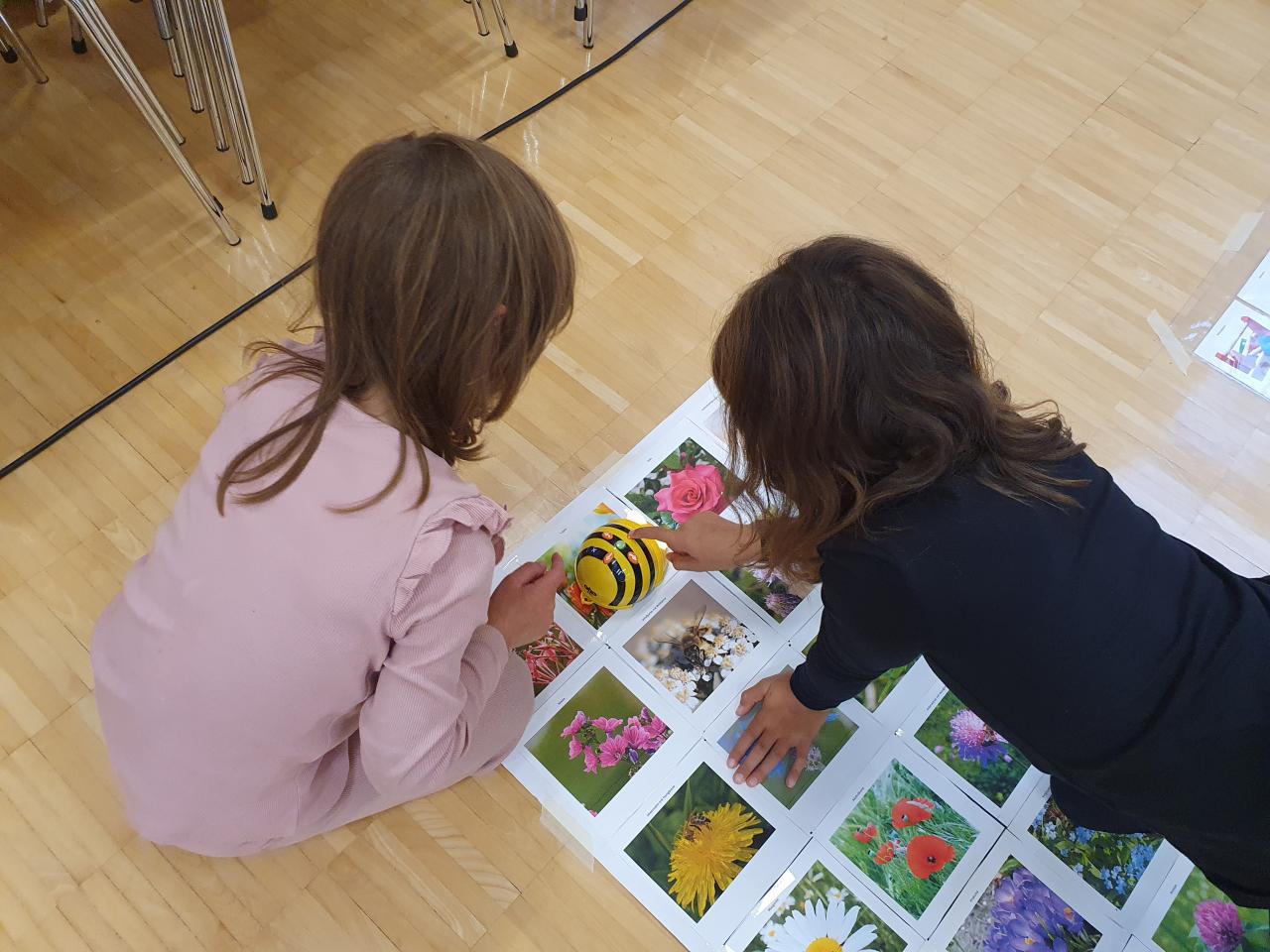 Lange nacht der Bibliotheken in Satteins