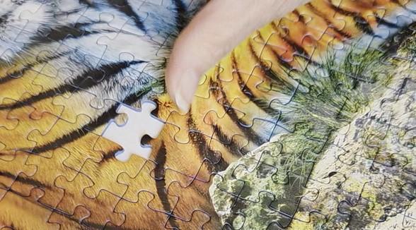 das letzte Puzzleteil