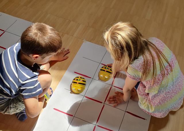 Symbolbild Bee Bots