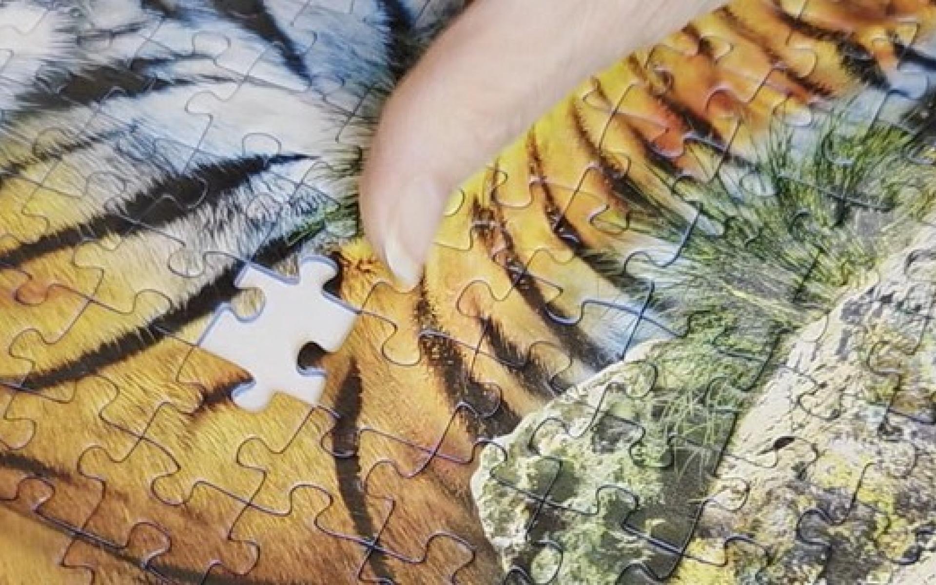 das letzte Puzzleteil